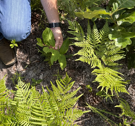 Agricultural Environmental Specialist 1-2